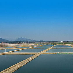 魚(yú)塘增氧控制器